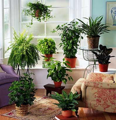 ازن ژنراتور در مصارف خانگی